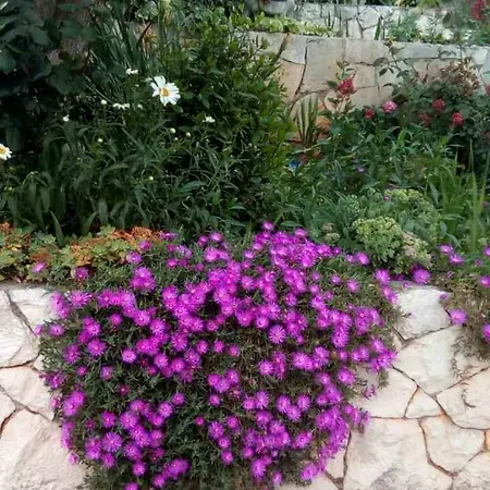 아파트 By The Sea Luka Dubrava, Peljesac - 13632